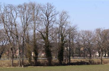 1 vue (ouvre la visionneuse)