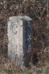 1 vue (ouvre la visionneuse)