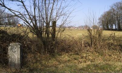 1 vue (ouvre la visionneuse)