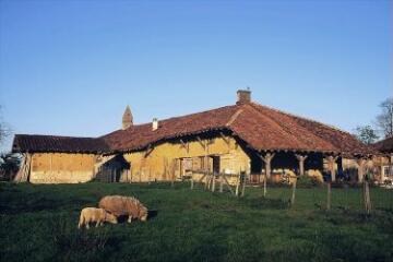 1 vue (ouvre la visionneuse)