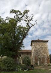 1 vue (ouvre la visionneuse)