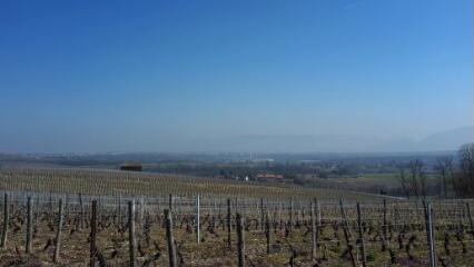 1 vue (ouvre la visionneuse)