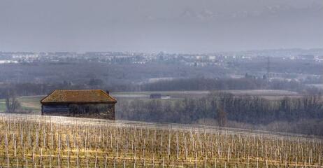 1 vue (ouvre la visionneuse)