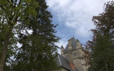 1 vue (ouvre la visionneuse)