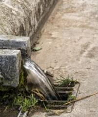 1 vue (ouvre la visionneuse)