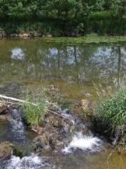 1 vue (ouvre la visionneuse)