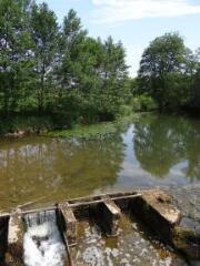 1 vue (ouvre la visionneuse)