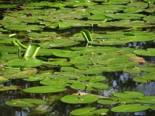 1 vue (ouvre la visionneuse)