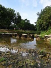 1 vue (ouvre la visionneuse)