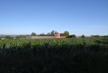 1 vue (ouvre la visionneuse)