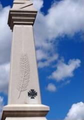 1 vue (ouvre la visionneuse)