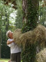 1 vue (ouvre la visionneuse)