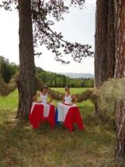 1 vue (ouvre la visionneuse)