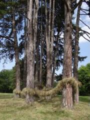 1 vue (ouvre la visionneuse)