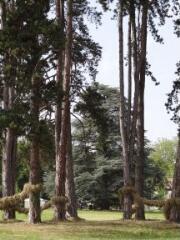 1 vue (ouvre la visionneuse)