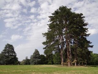 1 vue (ouvre la visionneuse)