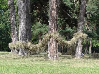 1 vue (ouvre la visionneuse)