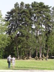 1 vue (ouvre la visionneuse)