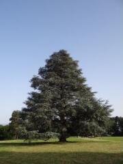 1 vue (ouvre la visionneuse)