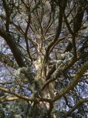 1 vue (ouvre la visionneuse)