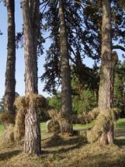 1 vue (ouvre la visionneuse)