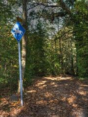 1 vue (ouvre la visionneuse)