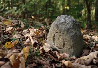 1 vue (ouvre la visionneuse)