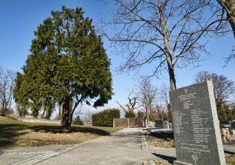 1 vue (ouvre la visionneuse)