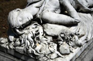 1 vue (ouvre la visionneuse)