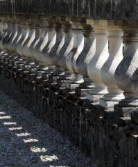 1 vue (ouvre la visionneuse)