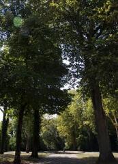 1 vue (ouvre la visionneuse)