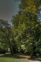 1 vue (ouvre la visionneuse)