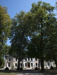 1 vue (ouvre la visionneuse)