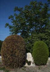 1 vue (ouvre la visionneuse)