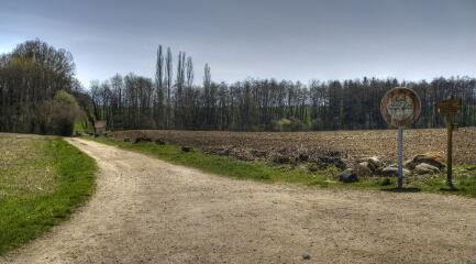 1 vue (ouvre la visionneuse)