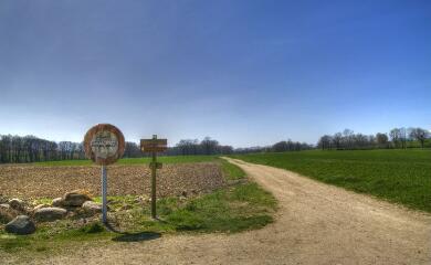 1 vue (ouvre la visionneuse)