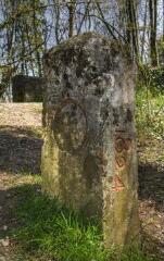 1 vue (ouvre la visionneuse)