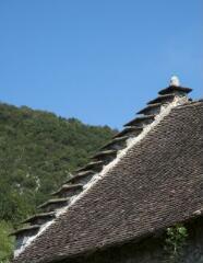 1 vue (ouvre la visionneuse)