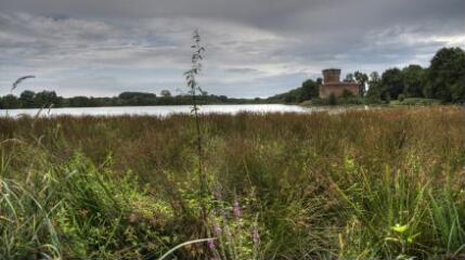 1 vue (ouvre la visionneuse)