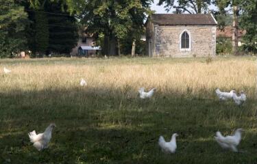 1 vue (ouvre la visionneuse)