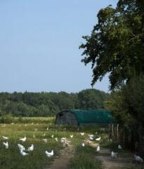 1 vue (ouvre la visionneuse)