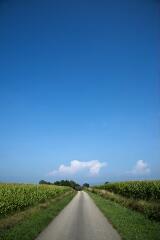 1 vue (ouvre la visionneuse)