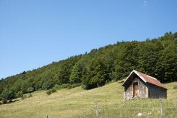 1 vue (ouvre la visionneuse)