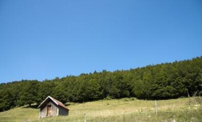 1 vue (ouvre la visionneuse)