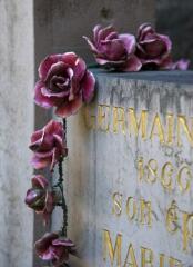 1 vue (ouvre la visionneuse)