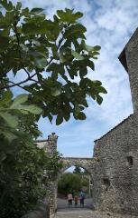 1 vue (ouvre la visionneuse)