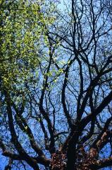 1 vue (ouvre la visionneuse)