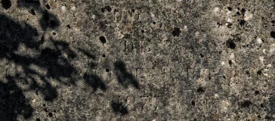 1 vue (ouvre la visionneuse)