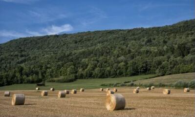 1 vue (ouvre la visionneuse)