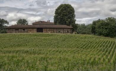 1 vue (ouvre la visionneuse)